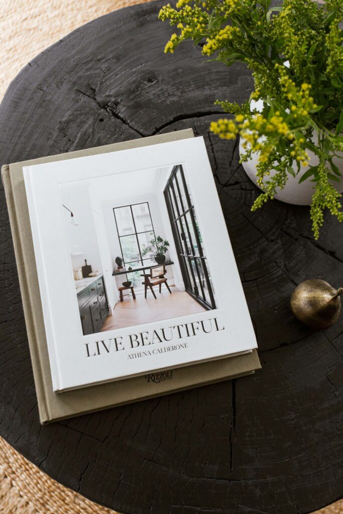 interior design books and plant on rustic coffee table